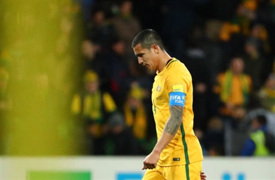 Tim Cahill Poster 3356560