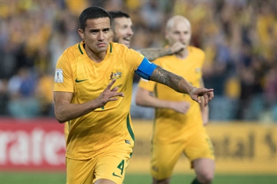 Tim Cahill Poster 3356562