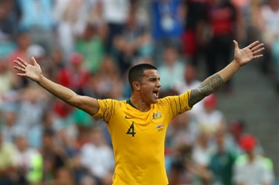 Tim Cahill Poster 3356569