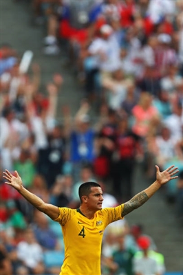 Tim Cahill Poster 3356571