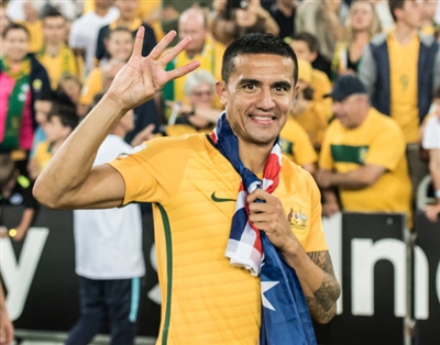 Tim Cahill Poster 3356587