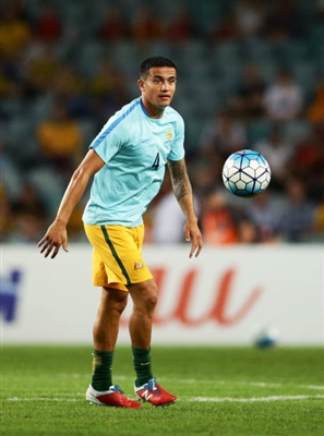 Tim Cahill Poster 3356591