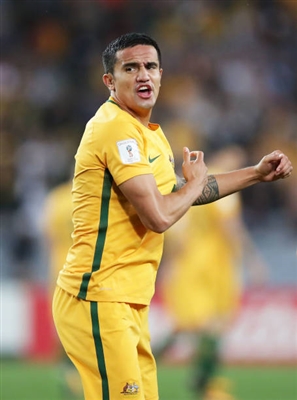 Tim Cahill Poster 3356592