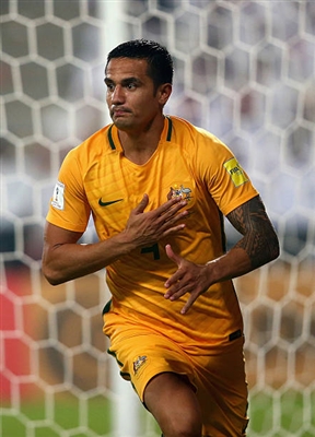 Tim Cahill Poster 3356598