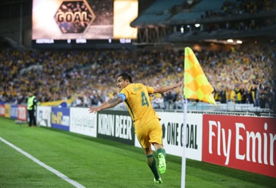 Tim Cahill Poster 3356599