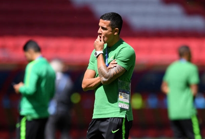 Tim Cahill Poster 3356601