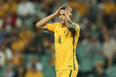 Tim Cahill Poster 3356603