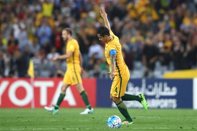 Tim Cahill Poster 3356606