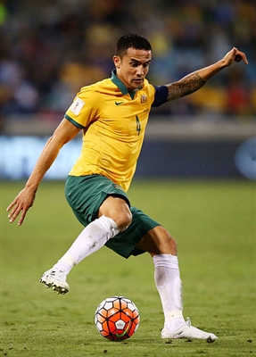 Tim Cahill Poster 3356607