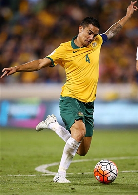 Tim Cahill Poster 3356613