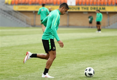 Tim Cahill Poster 3356617