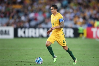 Tim Cahill Poster 3356623