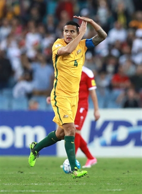 Tim Cahill Poster 3356625