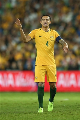 Tim Cahill Poster 3356626