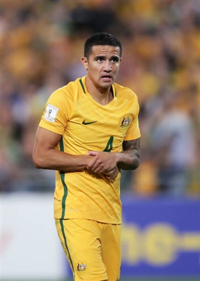 Tim Cahill Poster 3356630
