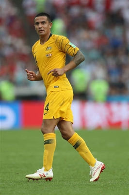 Tim Cahill Poster 3356631