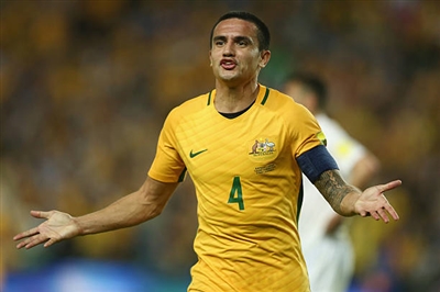 Tim Cahill Poster 3356632