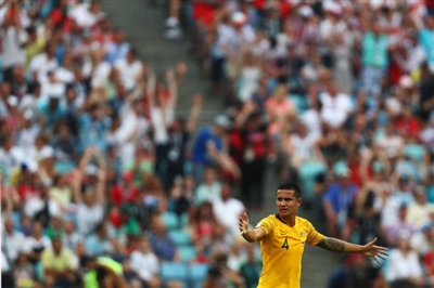 Tim Cahill Poster 3356635