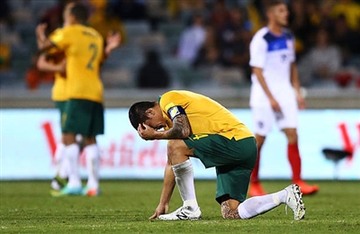 Tim Cahill Poster 3356638