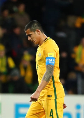Tim Cahill Poster 3356639