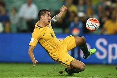 Tim Cahill Poster 3356640