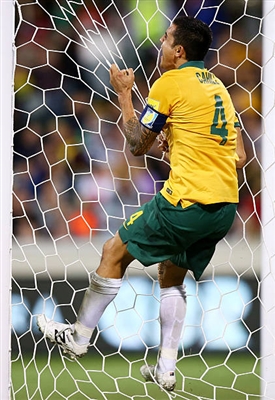 Tim Cahill Poster 3356641
