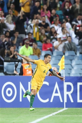 Tim Cahill Poster 3356643