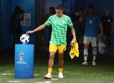 Tim Cahill Poster 3356646