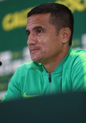 Tim Cahill Poster 3356647