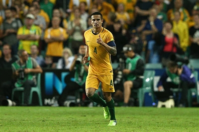 Tim Cahill Poster 3356649