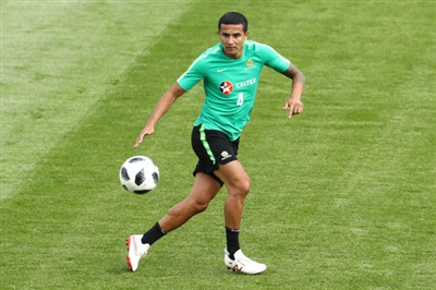 Tim Cahill Poster 3356651