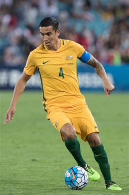 Tim Cahill Poster 3356655