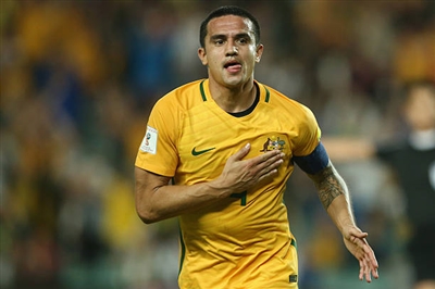 Tim Cahill Poster 3356657