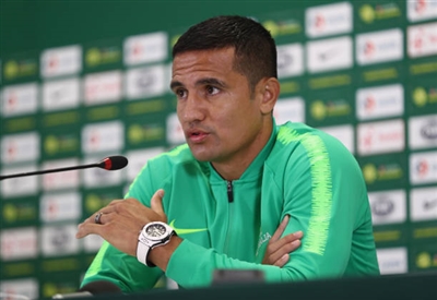 Tim Cahill Poster 3356664