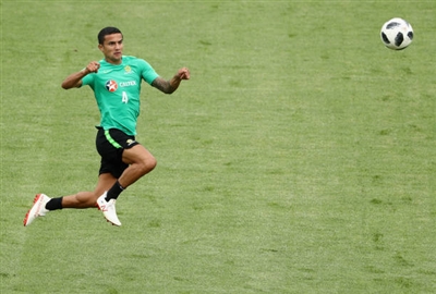 Tim Cahill Poster 3356666