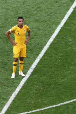 Tim Cahill Poster 3356670