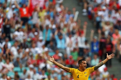 Tim Cahill Poster 3356671