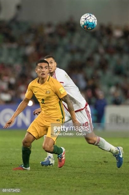 Tim Cahill Poster 3356677