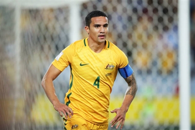 Tim Cahill Poster 3356680