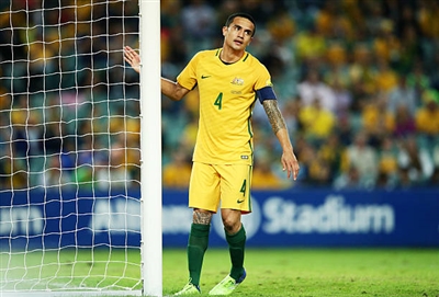 Tim Cahill Poster 3356686