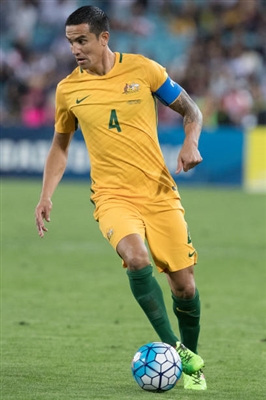 Tim Cahill Poster 3356689