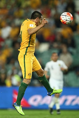 Tim Cahill Poster 3356697