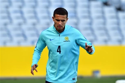 Tim Cahill Poster 3356698