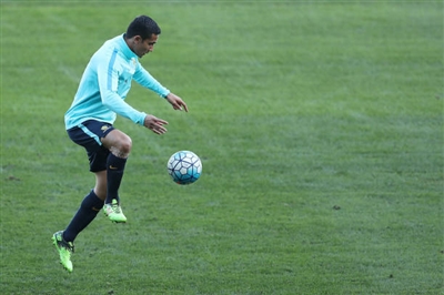 Tim Cahill Poster 3356699