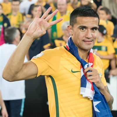 Tim Cahill Poster 3356701