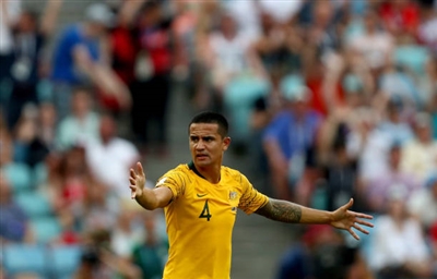 Tim Cahill Poster 3356705