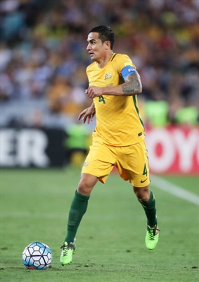 Tim Cahill Poster 3356709