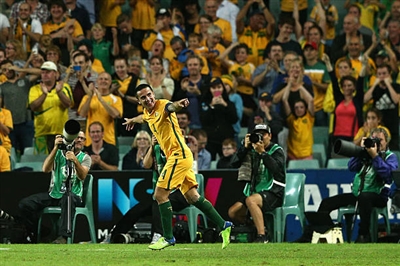 Tim Cahill Poster 3356711