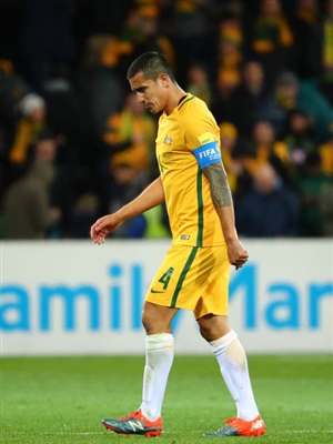 Tim Cahill Poster 3356716