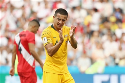 Tim Cahill Poster 3356717